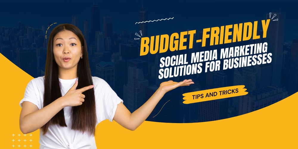 Budget friendly Social Media Marketing Solutions for Businesses